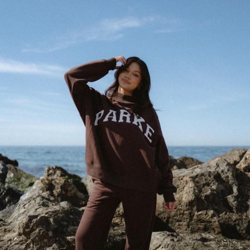 Parke mock neck sweatshirt chocolate brown